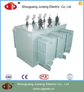 distribution voltage transformer for rural power grid