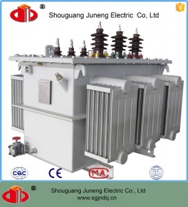 site-combined electrical transformer for rural power grid